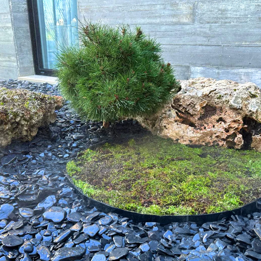 Ardoises concassées pour paillage