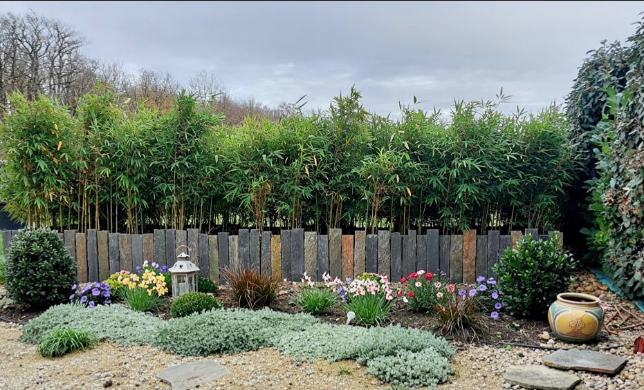 Piquet de schiste fin