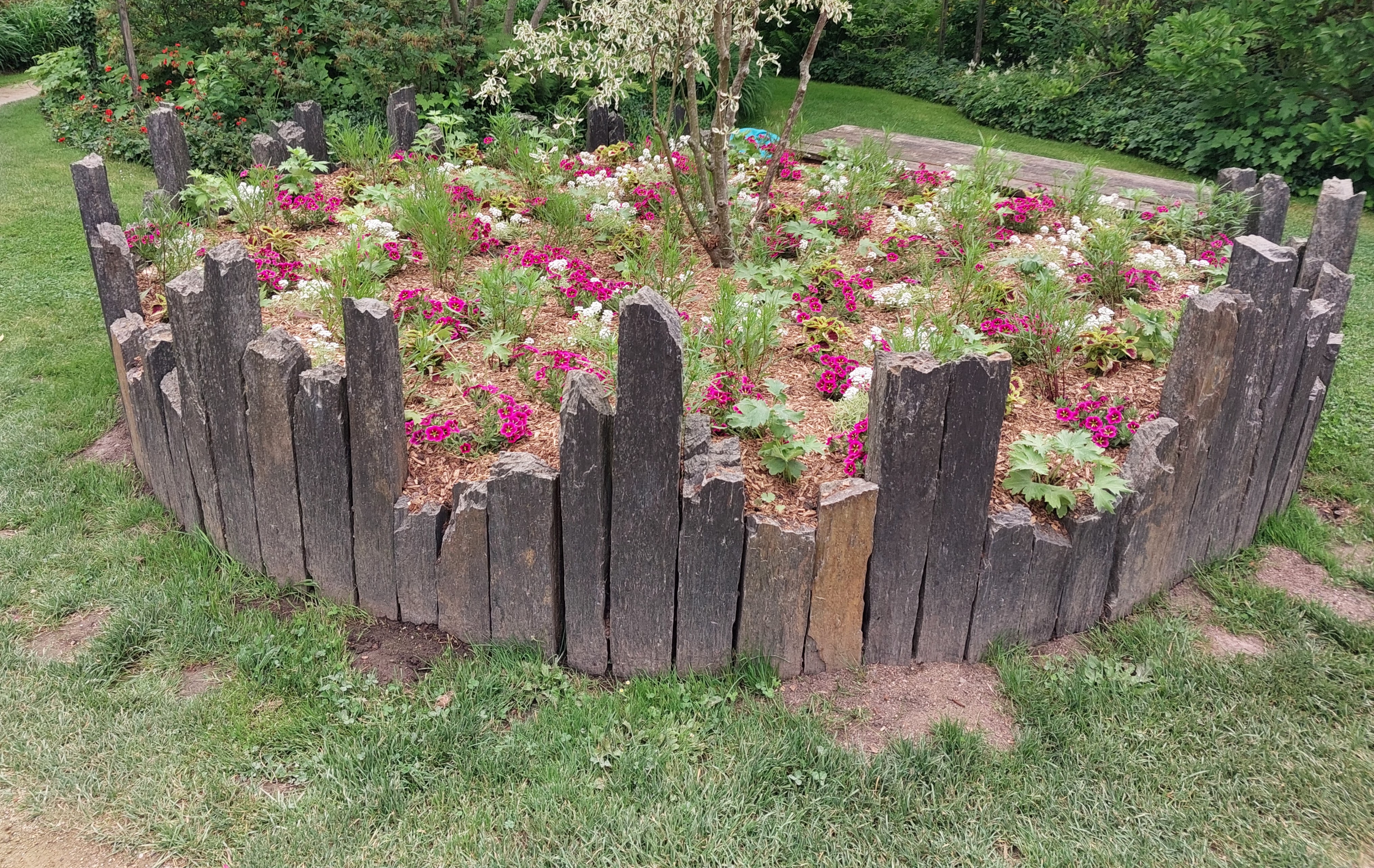 Piquets de schiste irréguliers 100 cm de haut