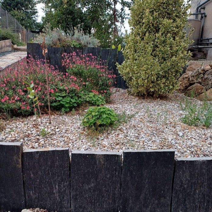 Plaques de schiste - largeur 30 cm - bouts sciés